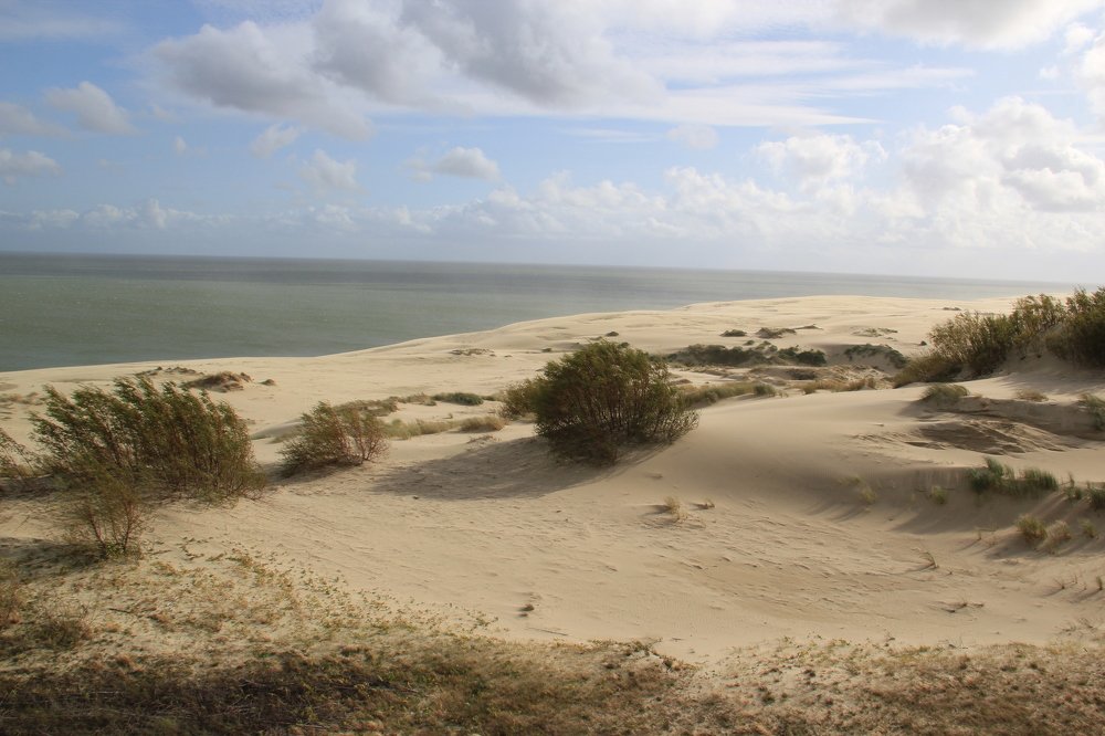 Photograph by Людмила Панченко