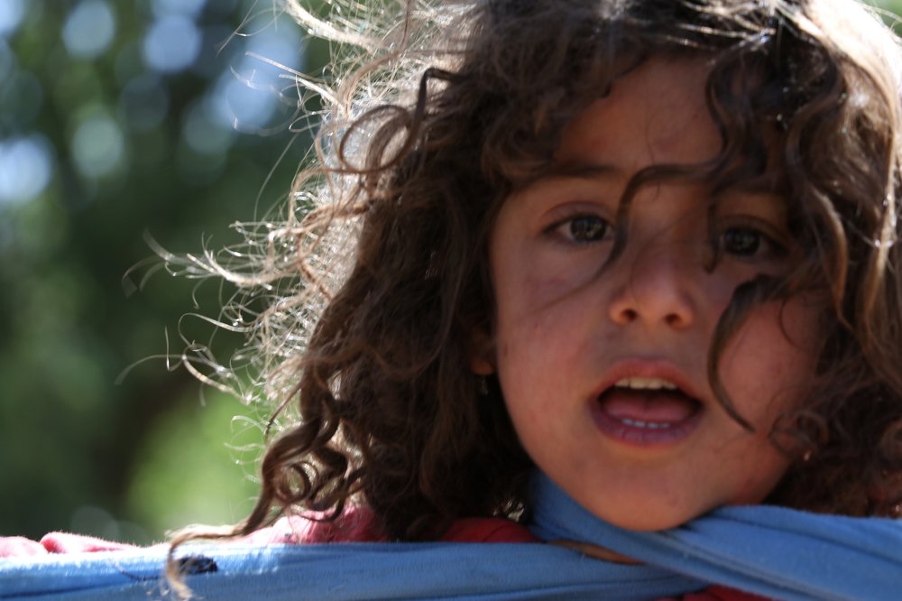 Photograph by omid zarei