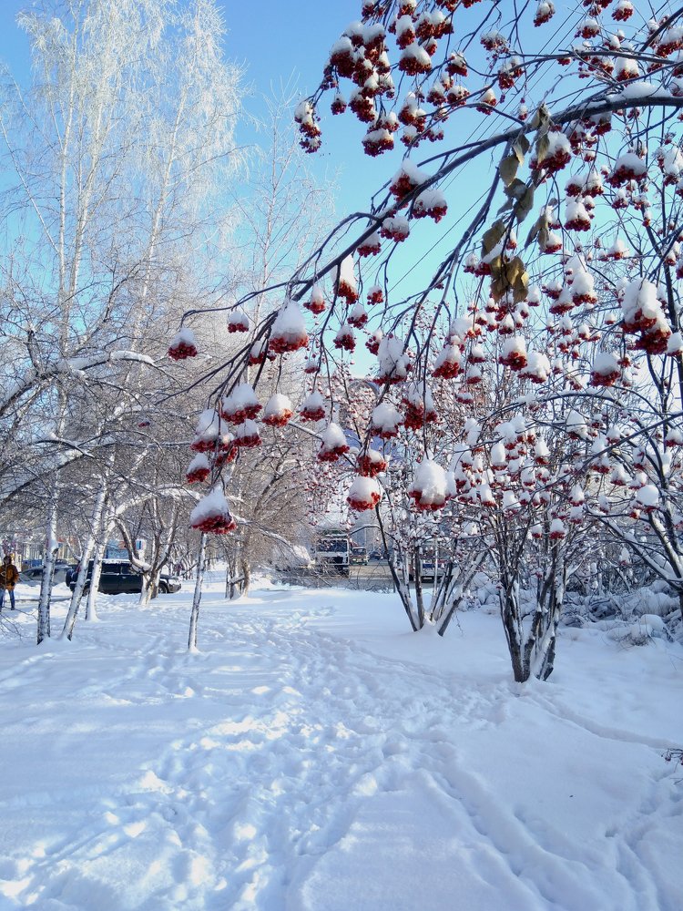 Photograph by Ирина Вассерлауф