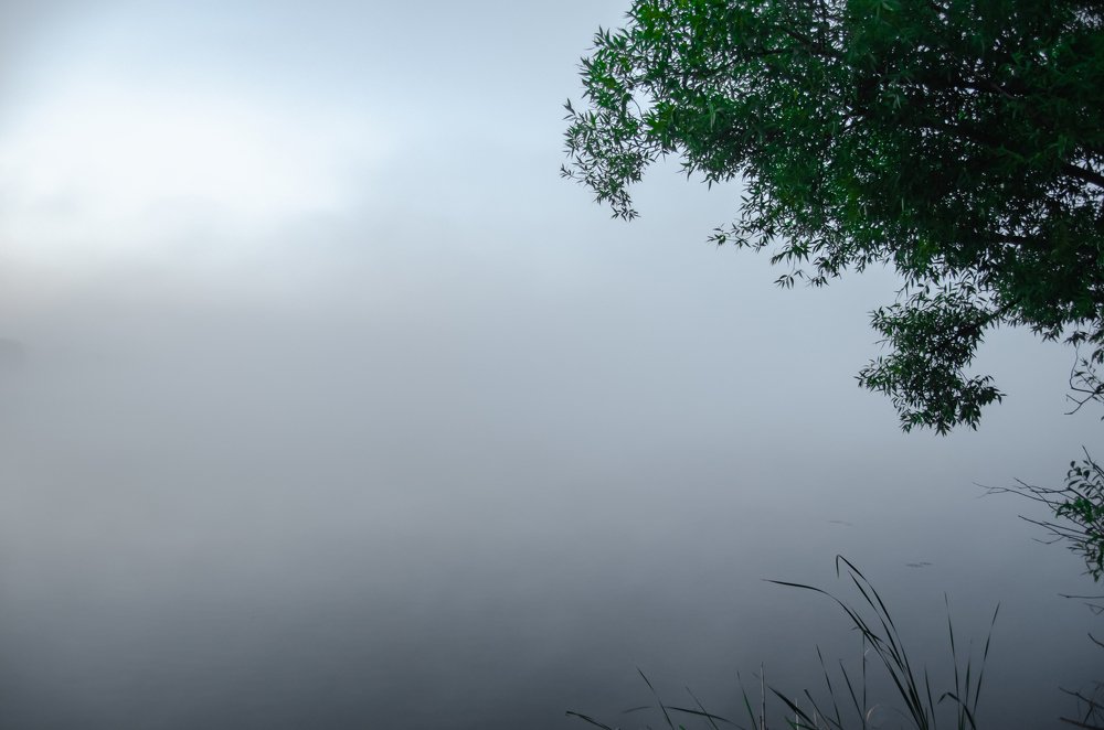 Photograph by Никита Богомолов