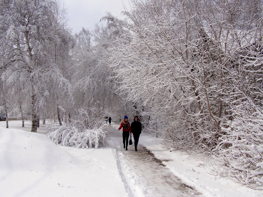 Photograph by Ирина Вассерлауф