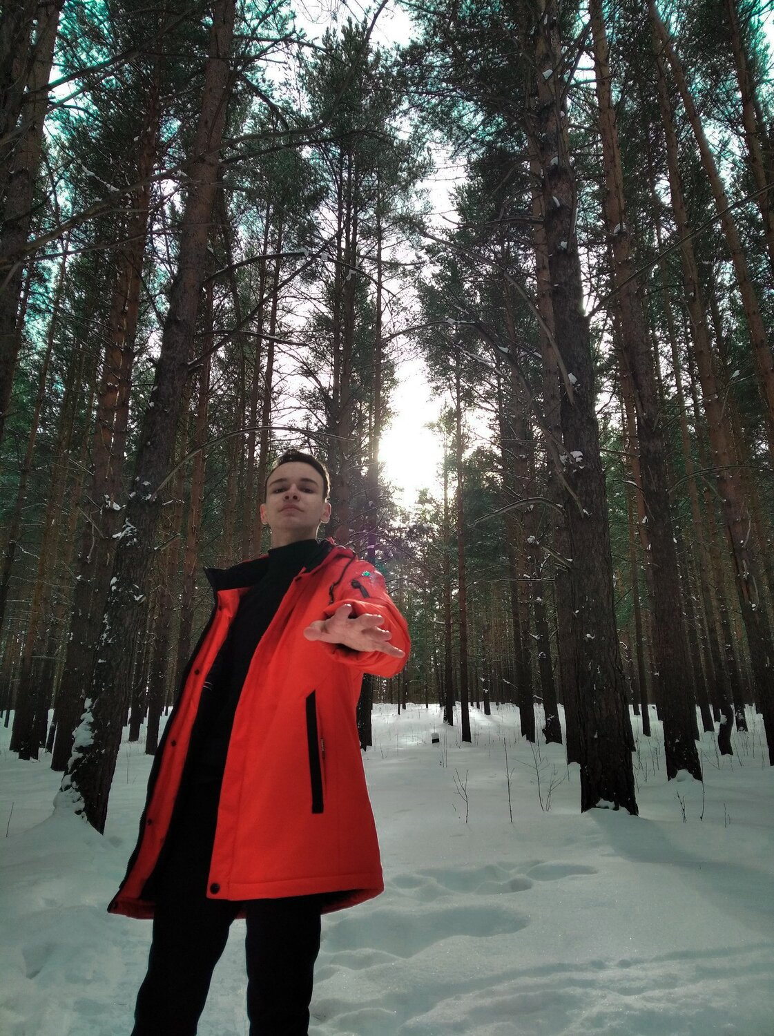 Photo #4383333