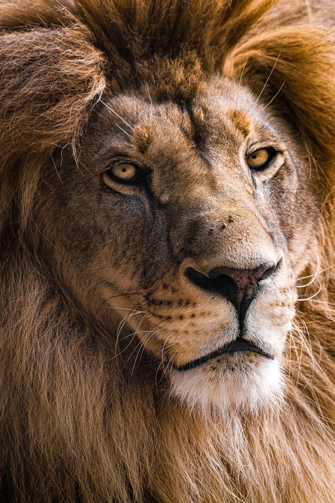 Photograph by Михаил Колесников