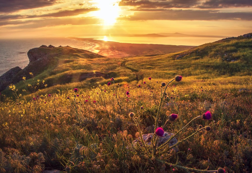 Photograph by Евгения Ботова