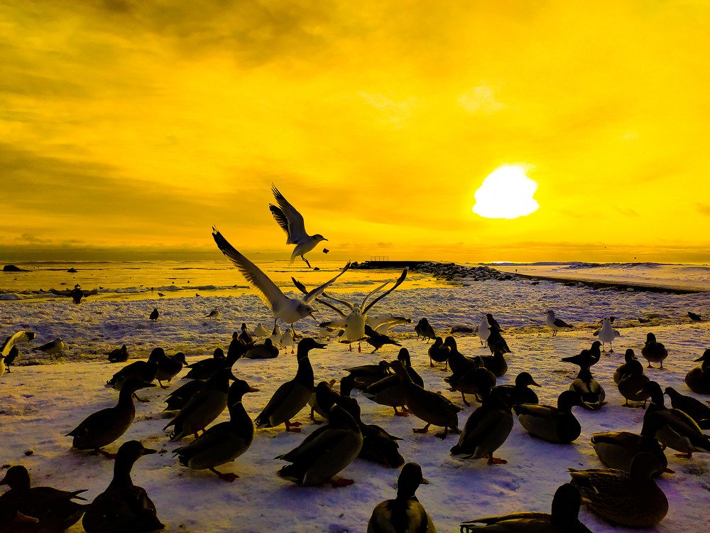 Photograph by Екатерина Бевзенко