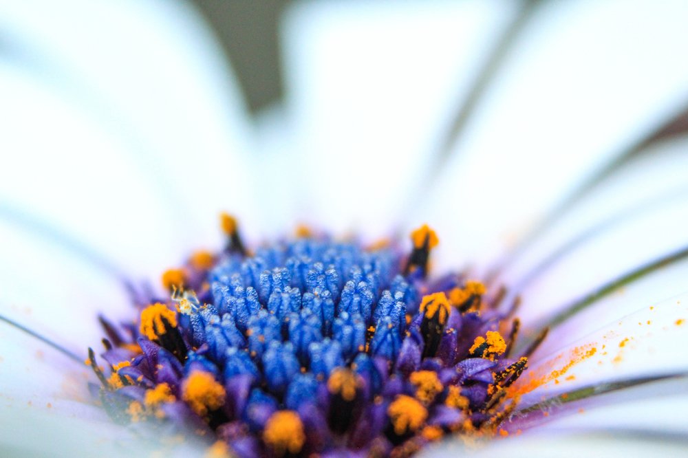 Photograph by Владислав Котлованов