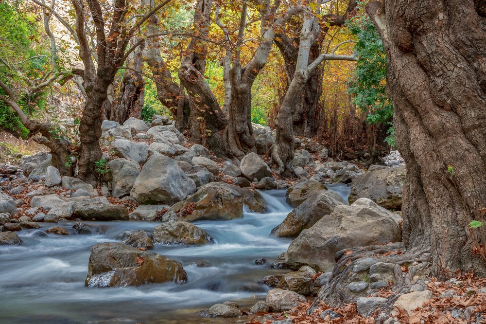 Photograph by Mohammad Shokoohi Rad