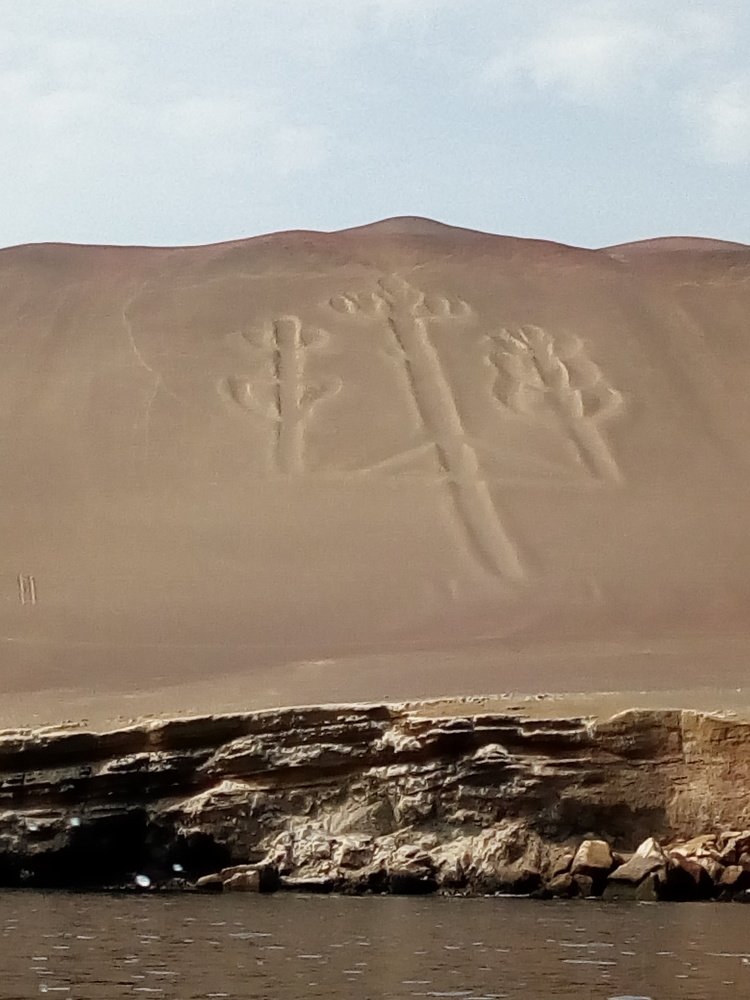 Photo #4383658