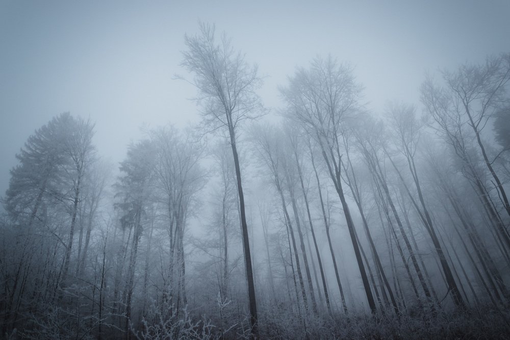 Photograph by Filip Micunda