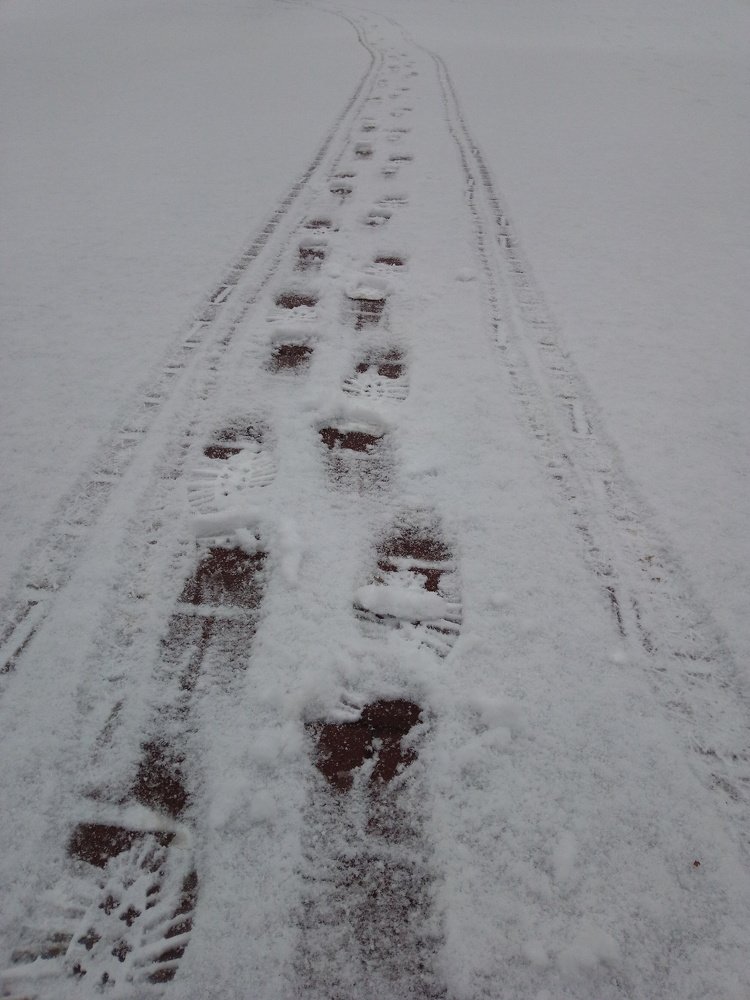 Photograph by Роман Сорокин