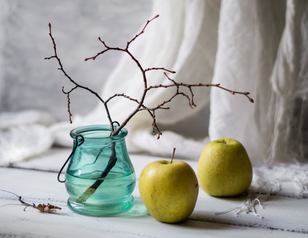 Photograph by irinabogach