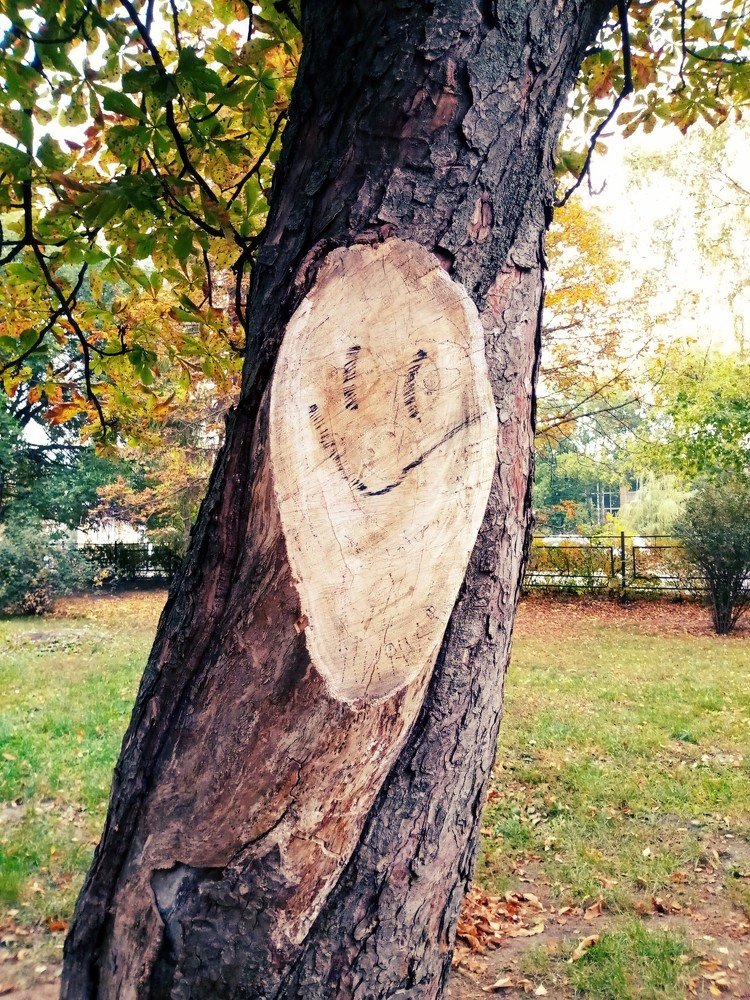 Photograph by Роман Сорокин