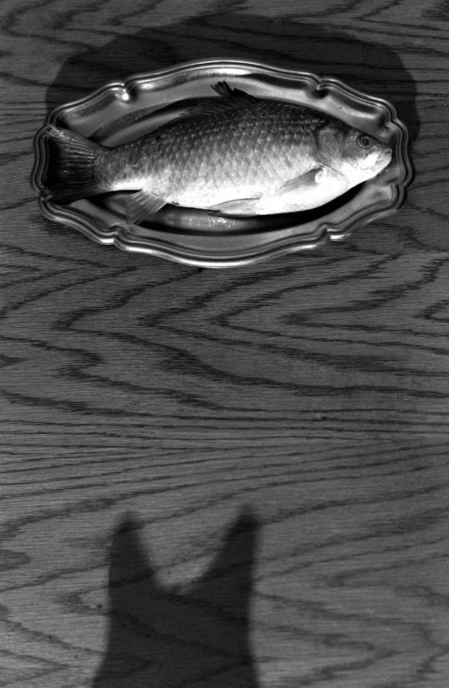 Photograph by Борис Яковлев