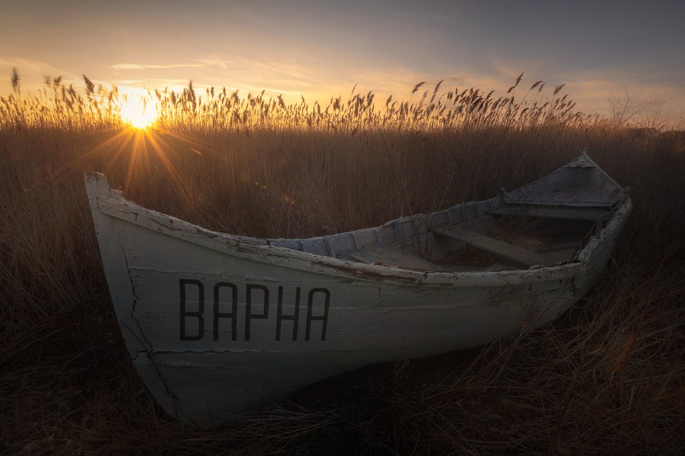 Фотография автора Ivailo Bosev