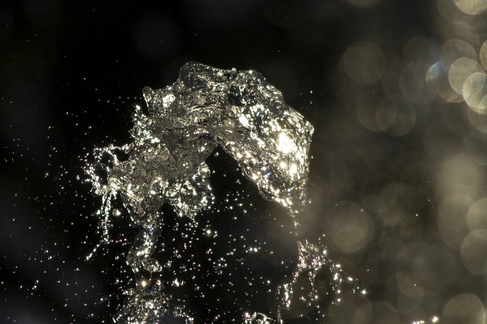 Photograph by Carla Salanova