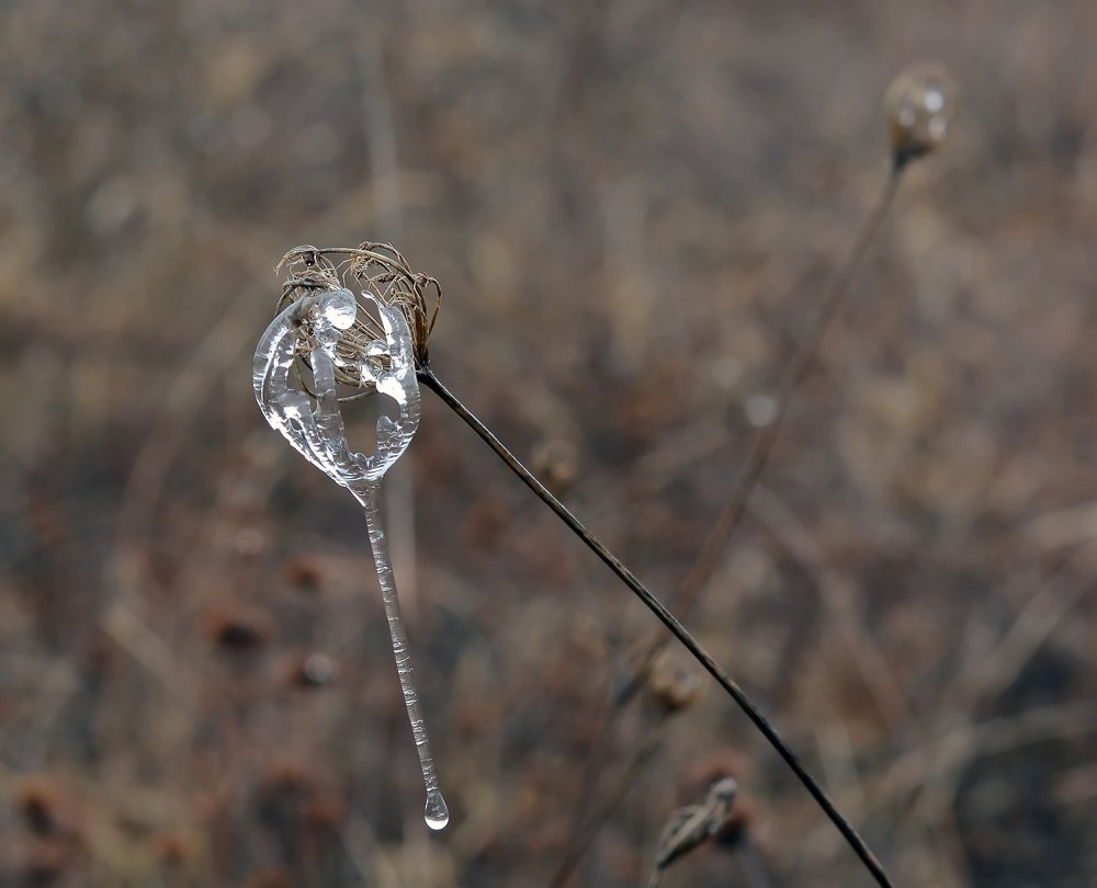 Photograph by Михаил Колтухов