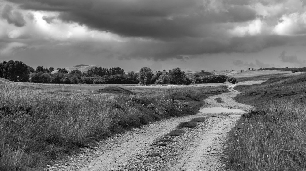 Photograph by Tatjana Vujnovic