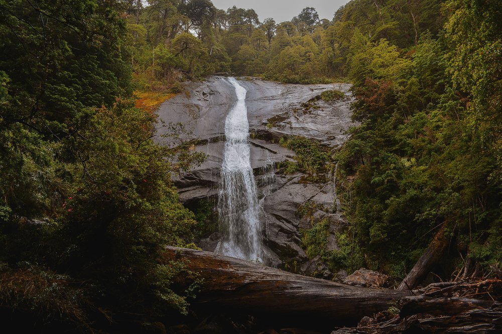 Photograph by Venegas Cornejo Carlos