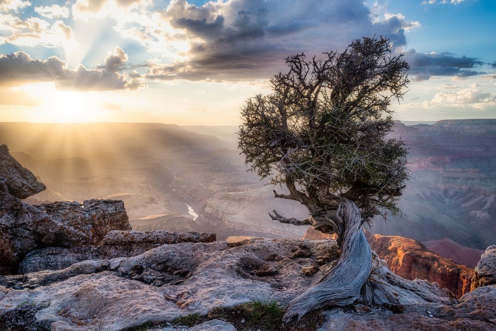 Photograph by Олег Гуляков