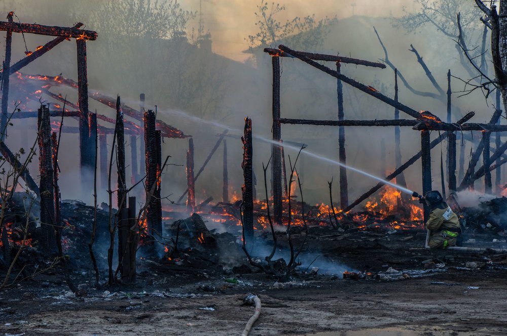 Фотография автора Полина Лебедева