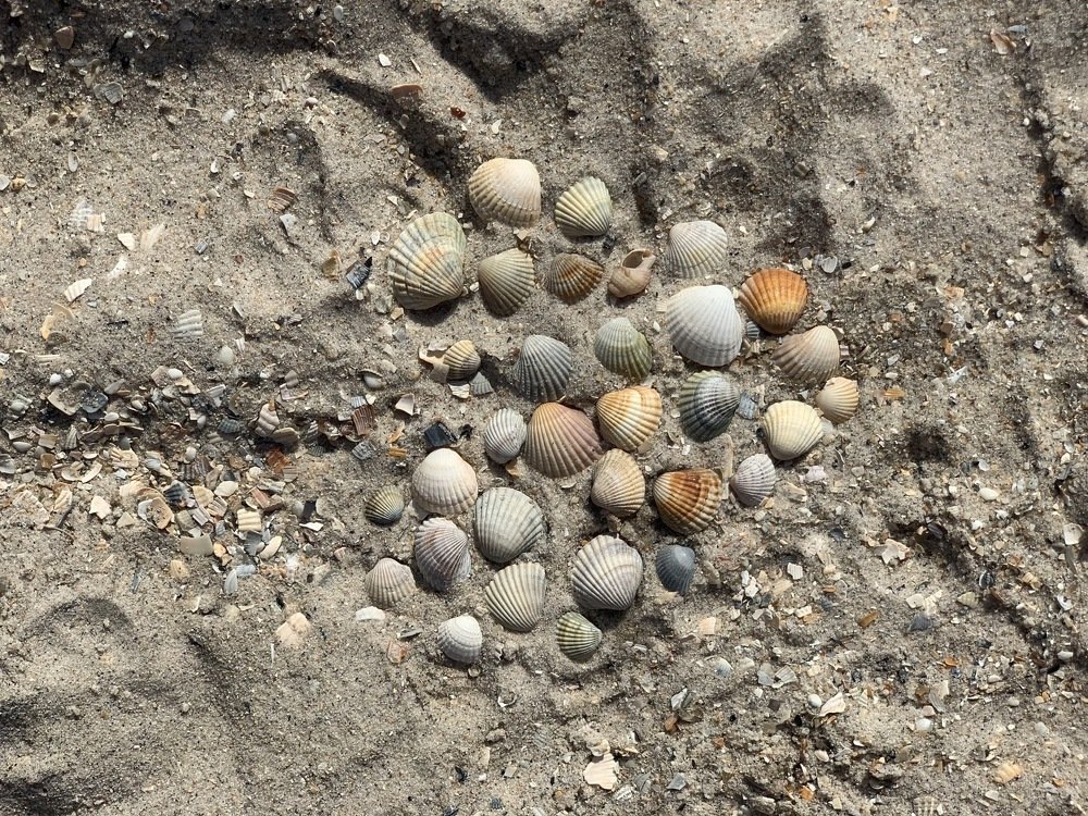 Photograph by Марина Пальчех