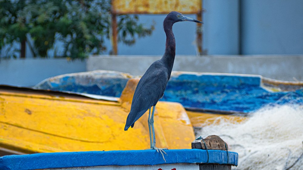 Photograph by Larissa Kossenko