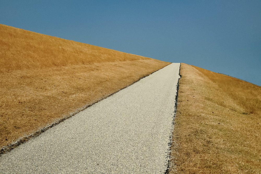 Photograph by Анастасия Стародубцева