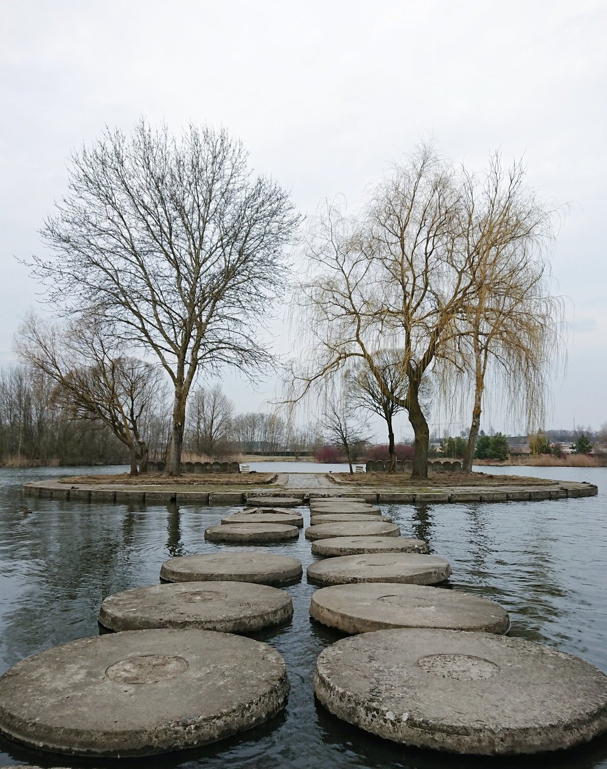 Photo #4384049