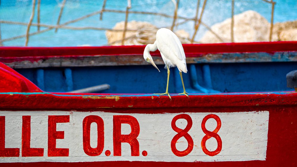 Photograph by Larissa Kossenko
