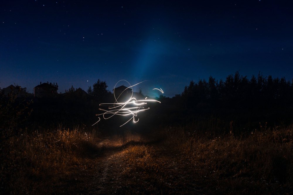 Фотография автора Полина Лебедева