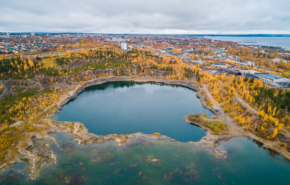 Природа в городе