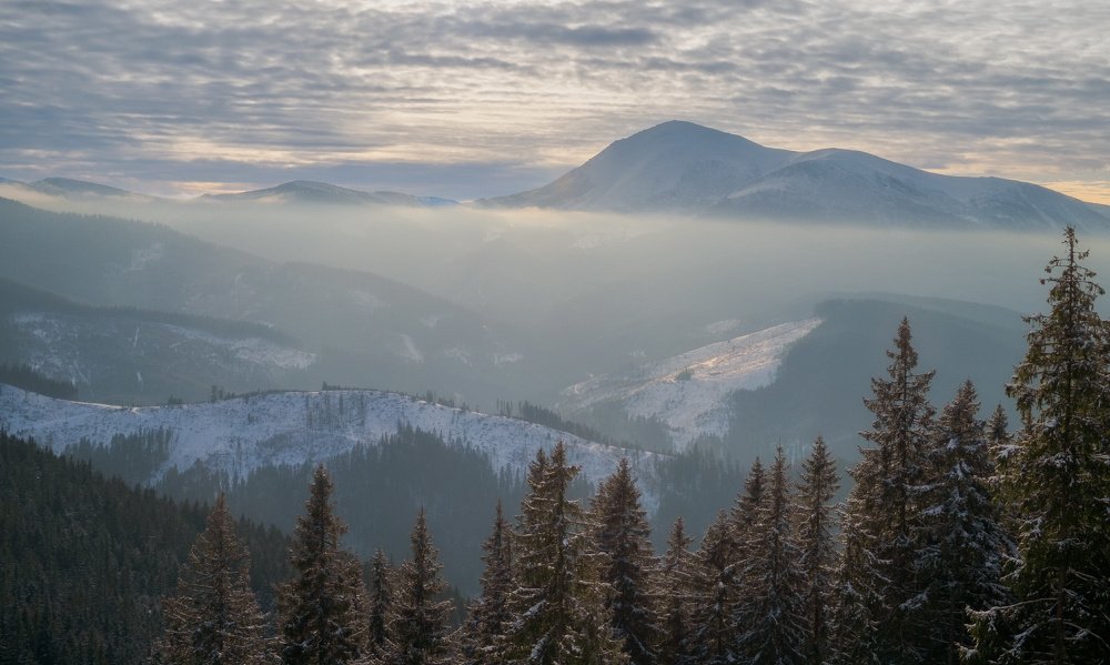 Photograph by Леонид Морозов