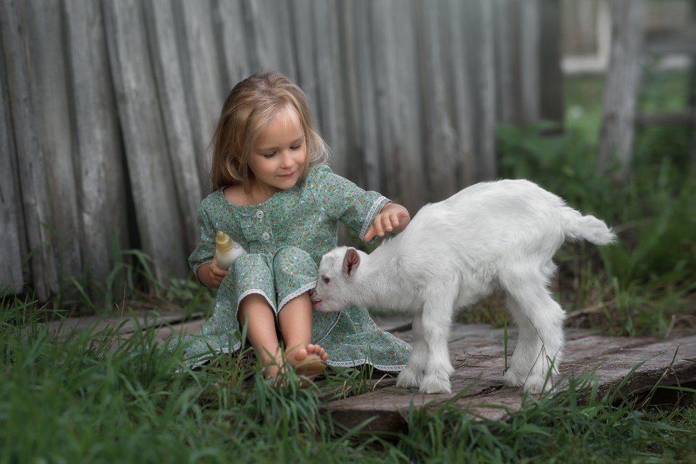 Photograph by Альфия Зотова