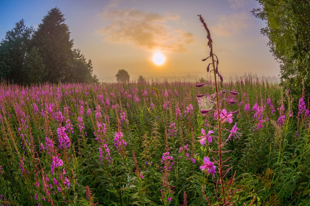 Photograph by Марина Мурашова