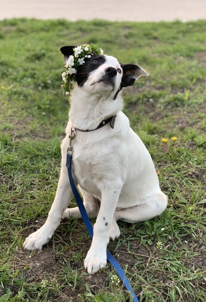 Photograph by Марина Пальчех