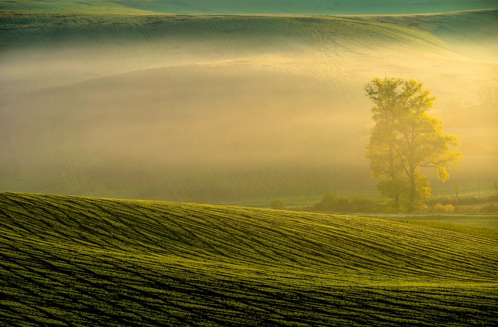 Волны тумана.Моравия