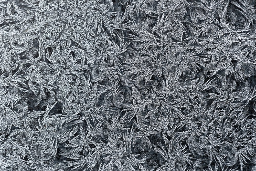 Художница зима