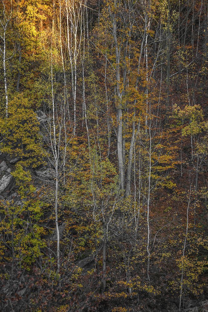 Фотография автора Александра Елагина