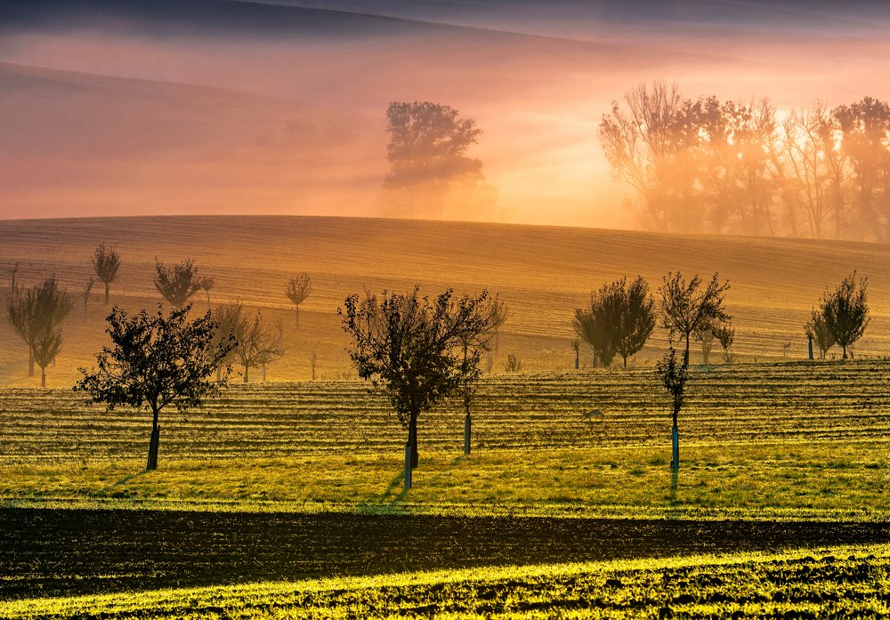 Photograph by ПАВЕЛ