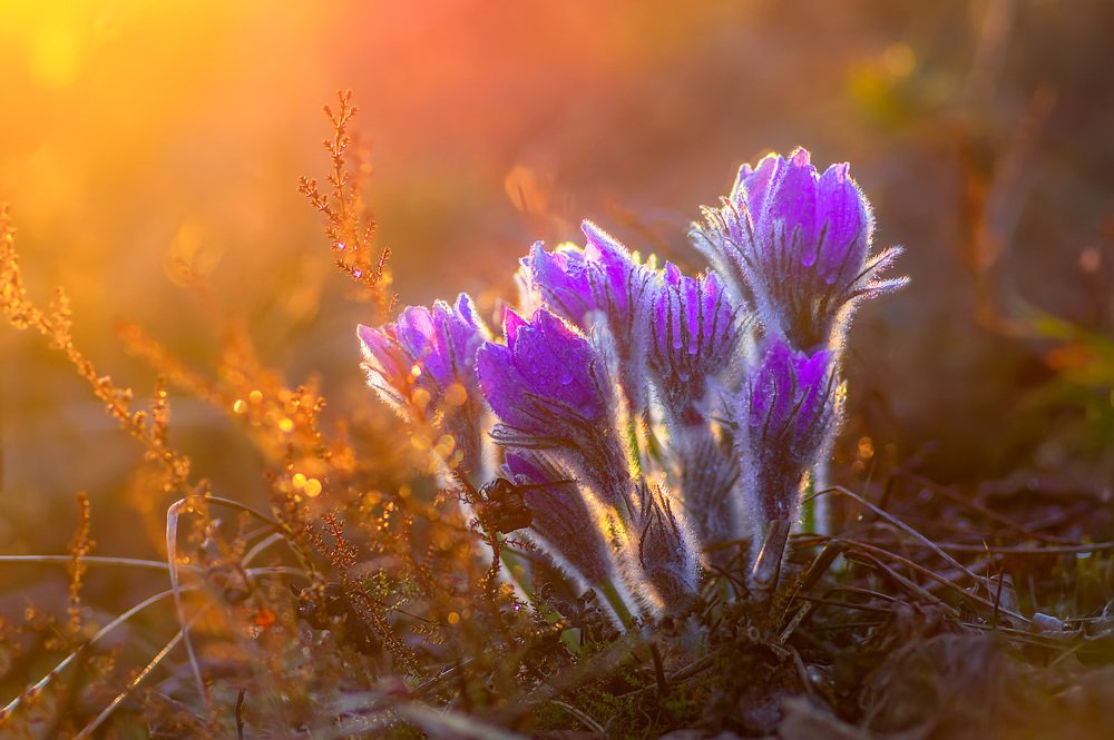 Photograph by Марина Мурашова