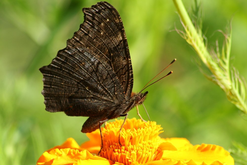 Фотография автора Геннадий Титов