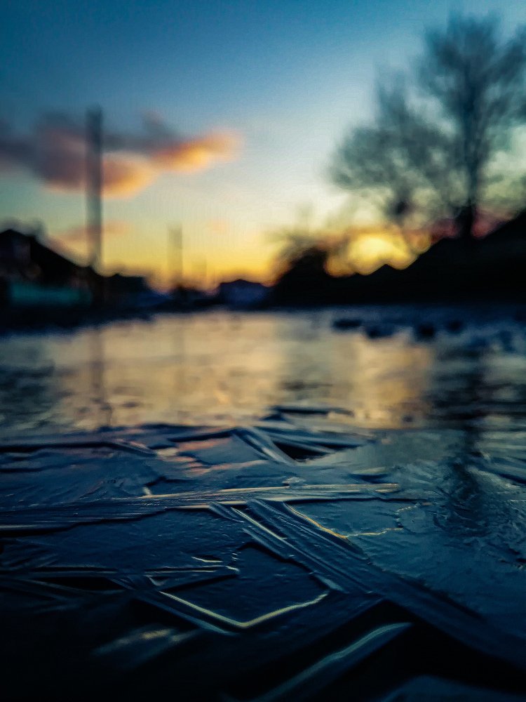 Photo #4384867