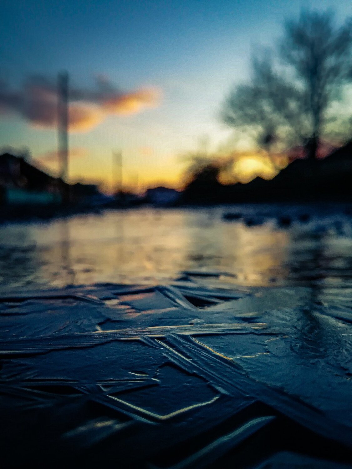 Photo #4384867