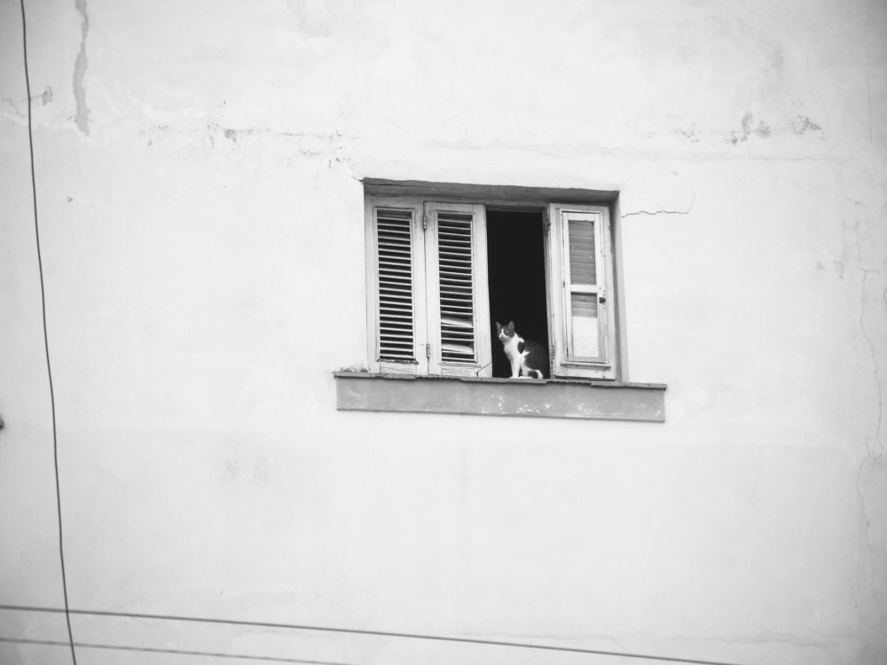 Photograph by Аля Кнастер