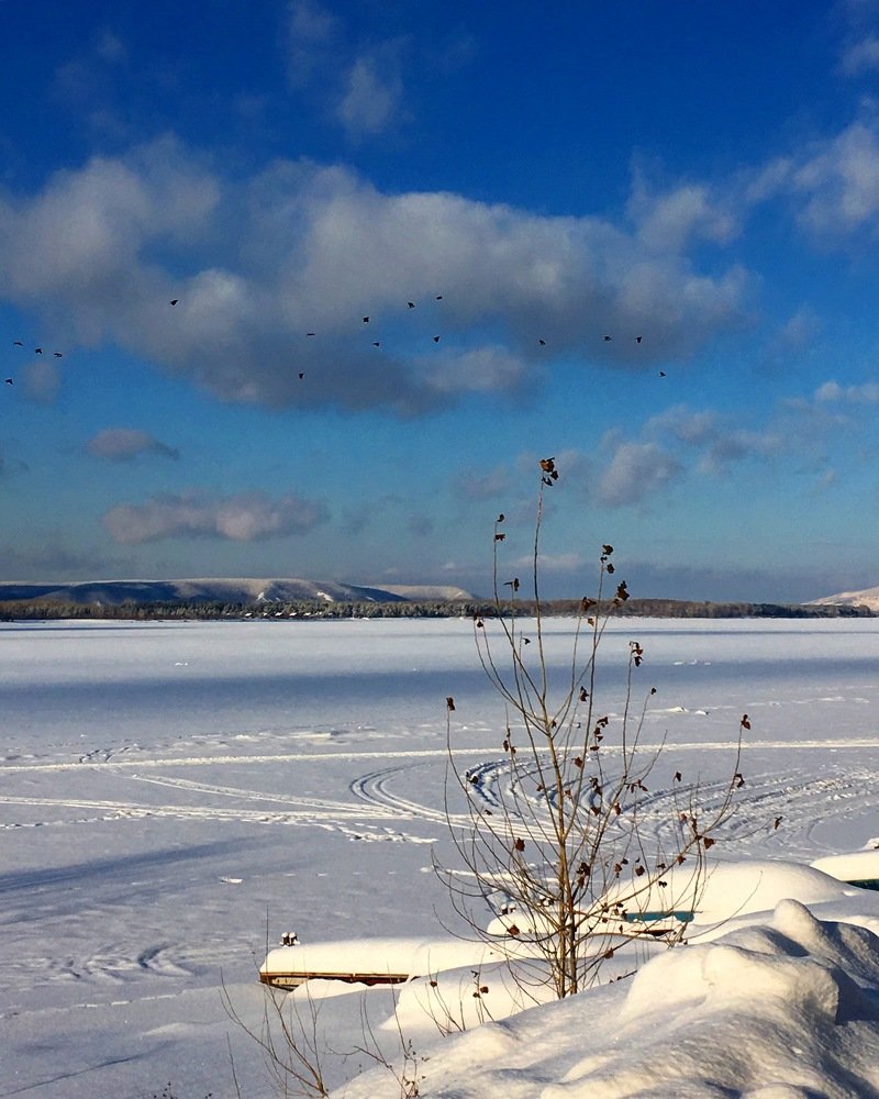 Photograph by Виктория Бейлис