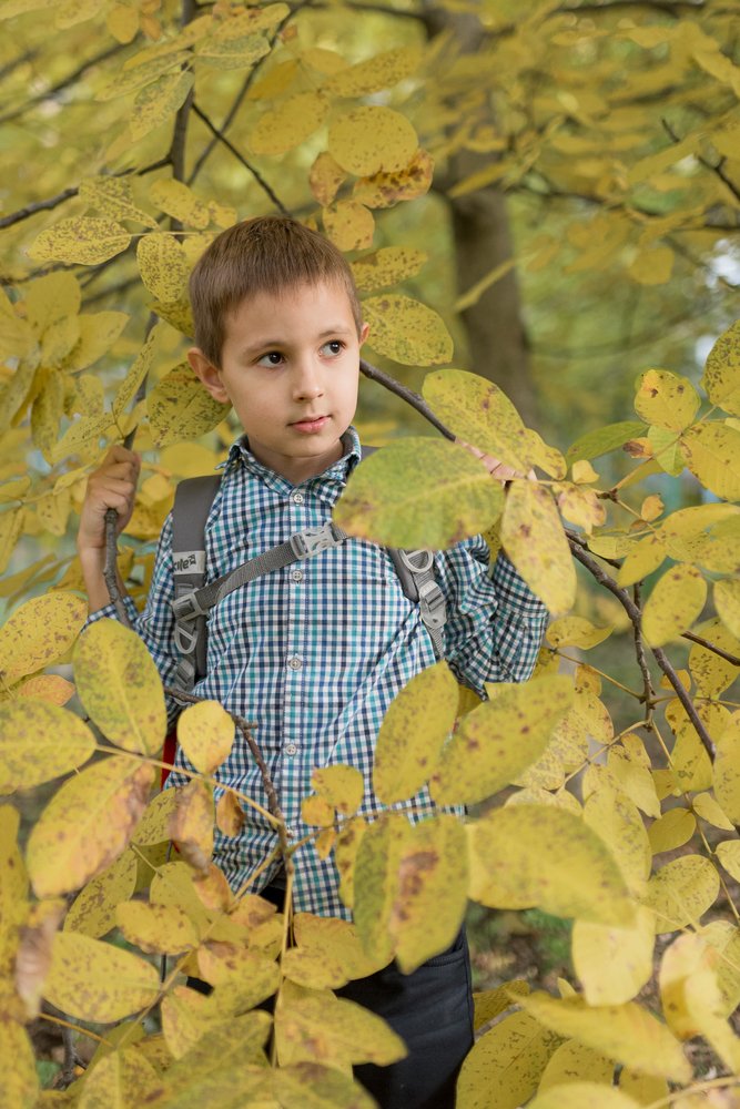 Photograph by Дмитрий Люлюкин