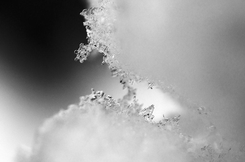 Photograph by Sahar Jafari