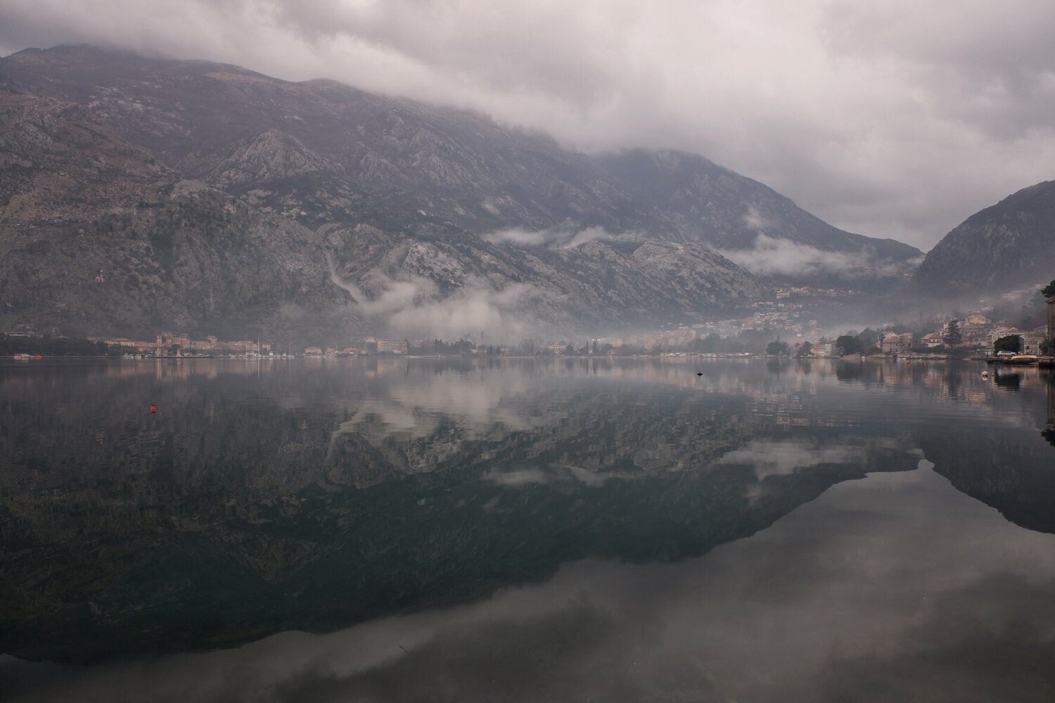 Photo #4385054