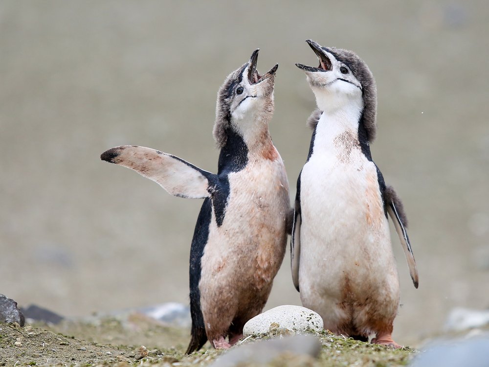 Photograph by Levi Biteng