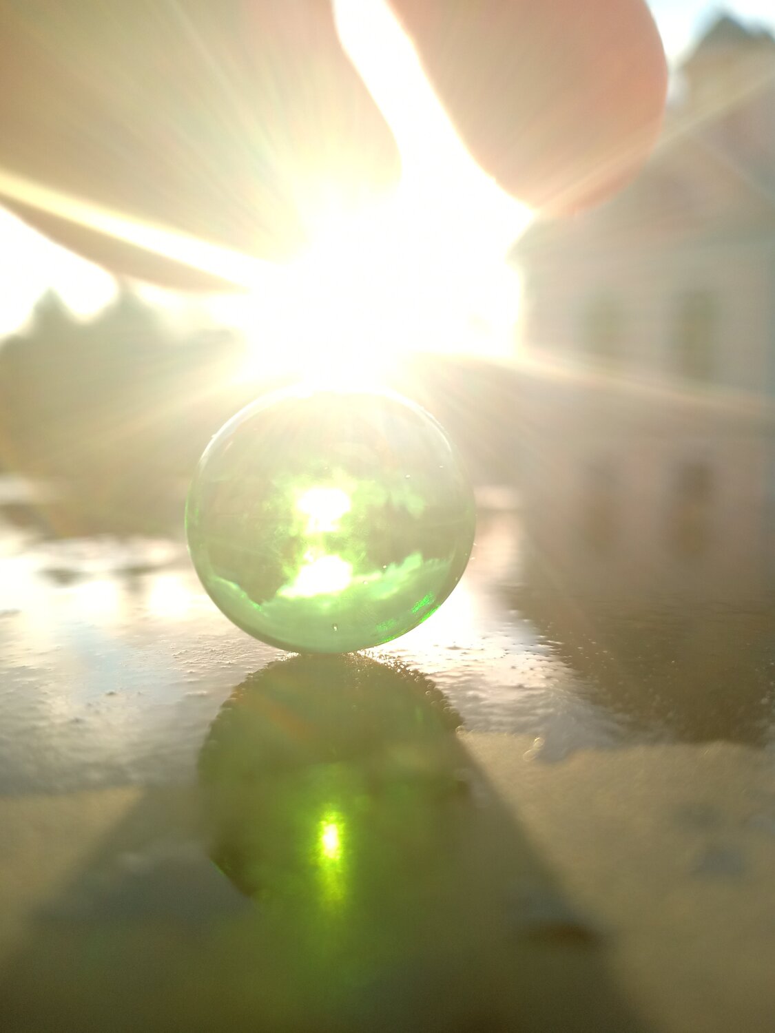 Photo #4385076